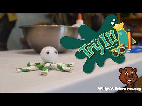 Try It- Make Your Own Water Strider