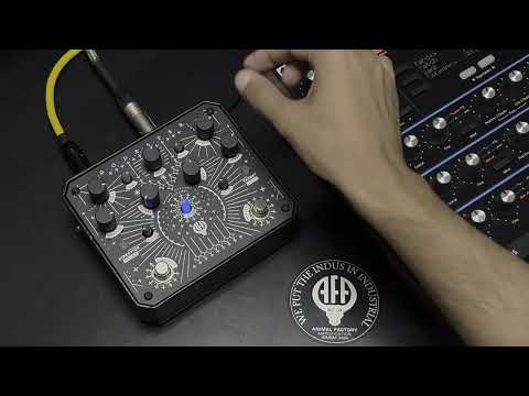 What If: You Ran Novation Peak Presets Through Godeater+ Sidechained Bass Distortion?