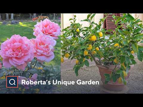 When Will Robertas Garden Be On Qvc