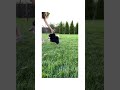 Beautiful girl playing with dog|funny animals videos||dog training ideas #shorts #pets #gadgets