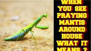 WHEN YOU SEE A PRAYING MANTIS AROUND YOUR HOUSE WHAT DOES IT MEAN ?
