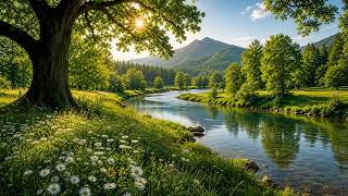 深い眠りとストレス解消のためのヒーリング音楽 🌿 心が落ち着く瞑想ミュージック