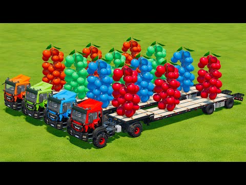 LOAD AND TRANSPORT GIANT GRAPES WITH MAN TRUCKS - Farming Simulator 22