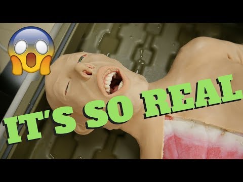 download lagu mp3 mp4 Syndaver, download lagu Syndaver gratis, unduh video klip Syndaver