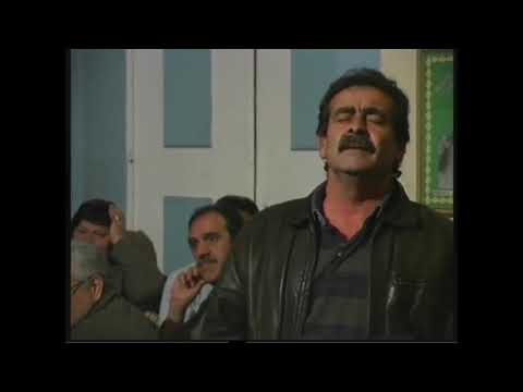 Joao Chitas   Augusto Robalo   Margaridas