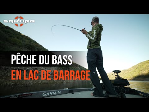 Pêche du Black-bass en lac de barrage / SAKURA 📺 Tanguy MARLIN