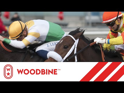 The 74th Running of the Princess Elizabeth Stakes: Woodbine, October 26, 2019 - Race 8