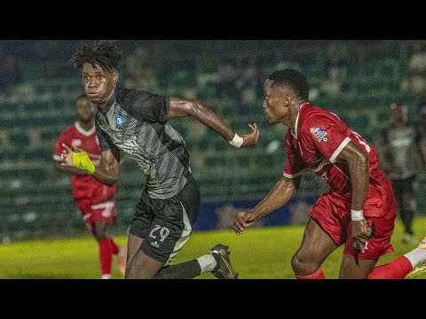 bg-highlight