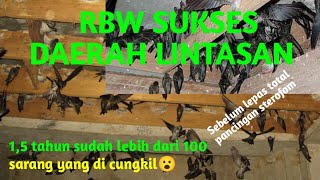 Download lagu check rbw success track area mp3 Download lagu check rbw success track area mp3