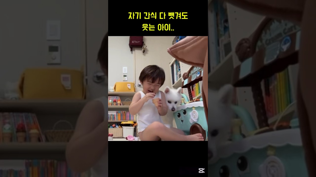간식 뺏겨도 웃는 아이 #4살아이 #교육 #반려견