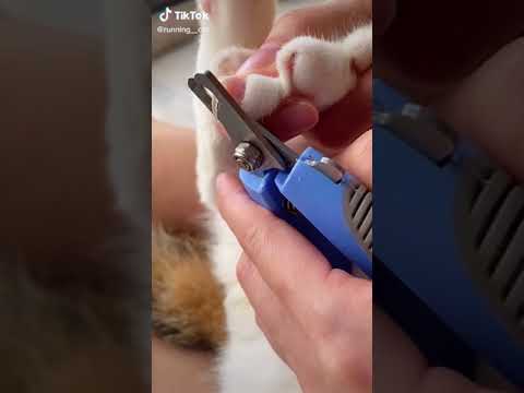 古代人如何剪指甲