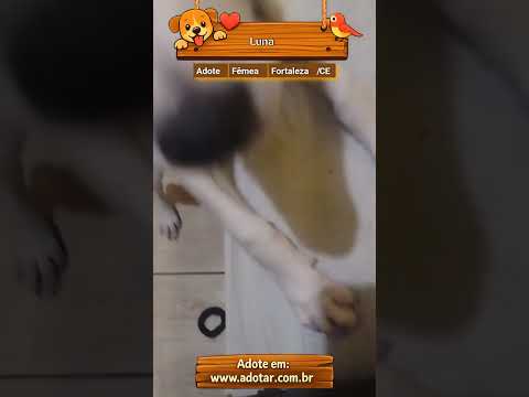 Vídeo de Luna 