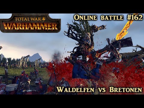 Hilf uns König Louen! - Waldelfen vs Bretonen - Total War: Warhammer Online #162