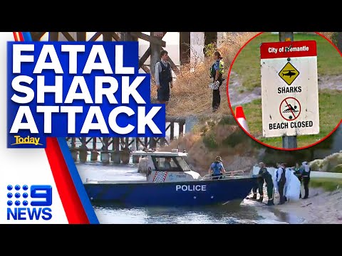 Teen girl dies in fatal shark attack in Perth river | 9 News Australia