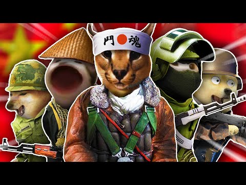 How COUNTRIES Fight Their WARS