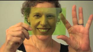 Documentários Designers do Brasil, 2017