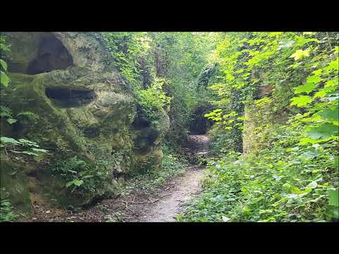 Siehe, ich sende meinen Engel