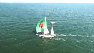 Ananda Spreads Her Wings