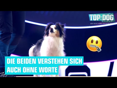 Ramona und Simba im Parcours 😍🐶 | Top Dog Germany 2022