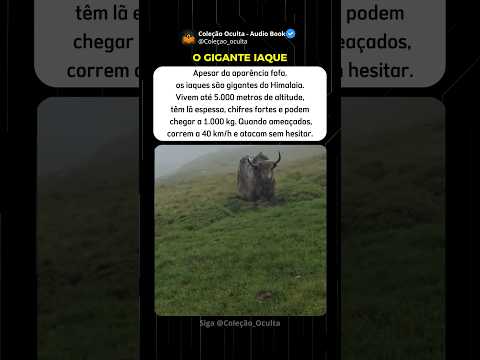 Gigantes Da Montanhas #misterios #curiosidades