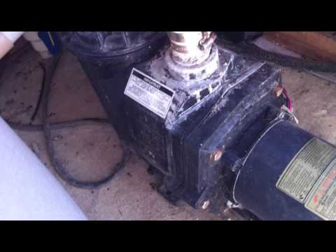 Pool Pump Making High Pitched Noise - Does It Sound Like This One? (WARNING: LOUD)