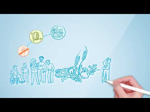 Innovation at Syngenta starts with R&D