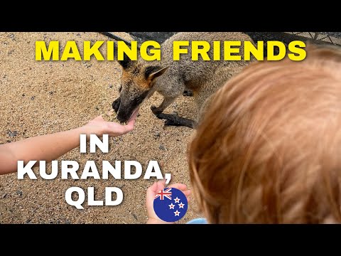 We HAD to Visit This Rainforest Town (Kuranda, QLD) 🇦🇺