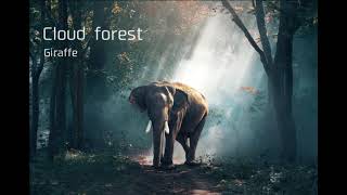 liecro "Cloud forest"