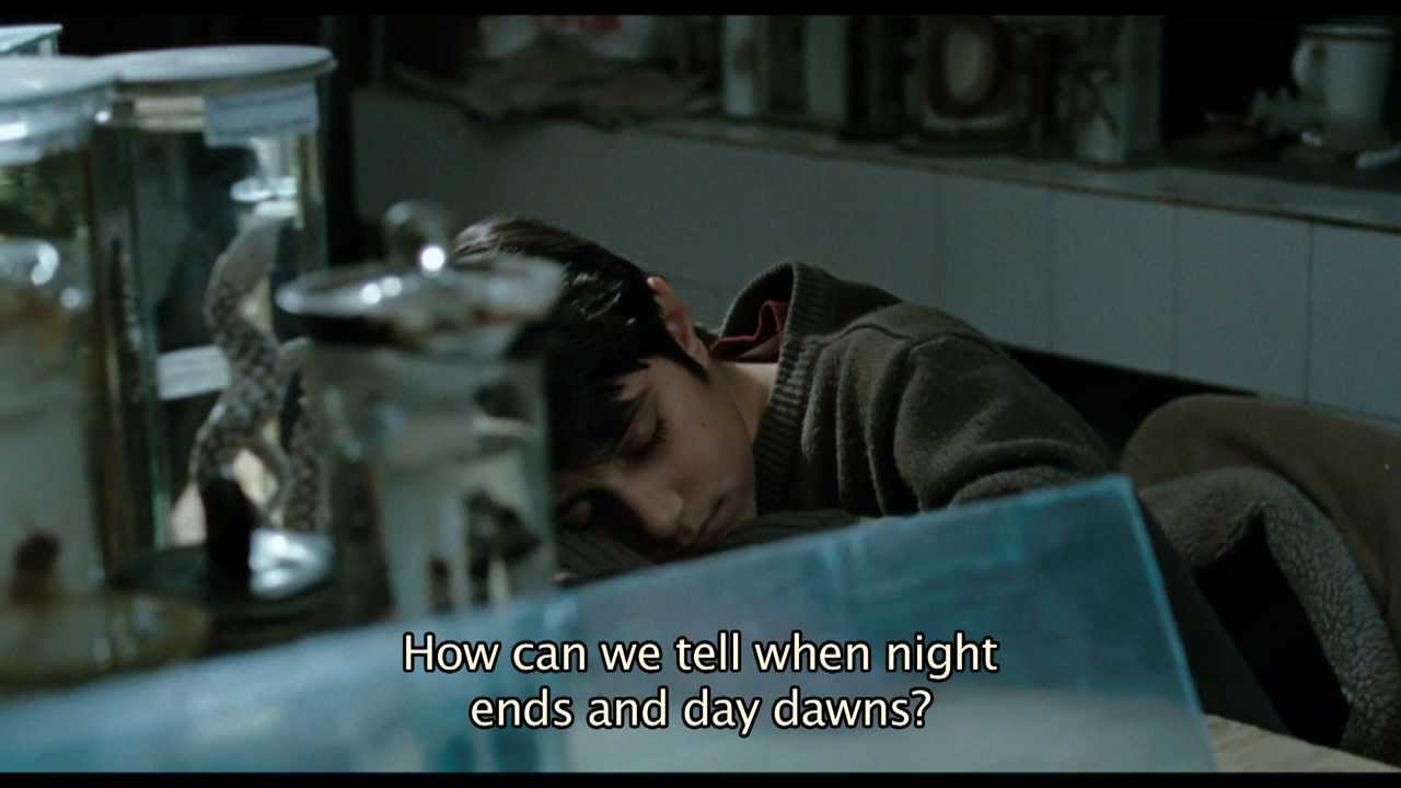 Matei Copil Miner (de Alexandra Gulea) - trailer HD