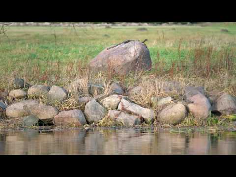 Juhan Uppin - Seal, kus Emajõgi voolab