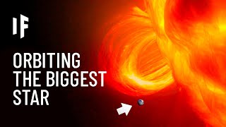 What If Earth Orbited UY Scuti?