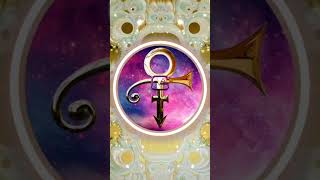 Prince - Poom Poom (Live)