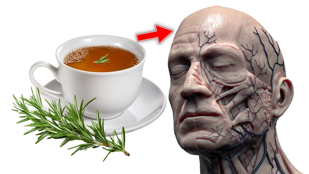 What Happens to Your Body When You Drink Rosemary Tea Every Day