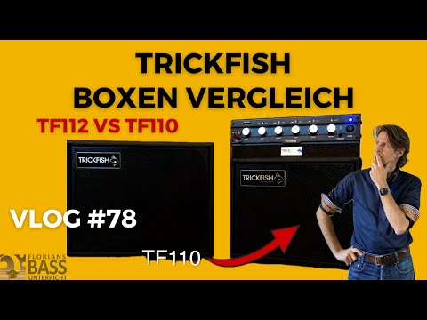 Trickfish Amplification TF112 1 x 12" bass speaker cabinet image 5