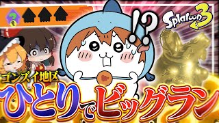 わかりみ大学所属（00:05:18 - 00:05:37） - 【ゆっくり実況】裏バイト「ひとりでビッグラン」をしてみたら予想外の結果に…【サーモンランNEXTWAVE/スプラトゥーン3】#31