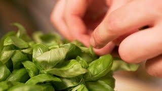 Hotel Bristol Palace 5*, Genoa - Pesto Genovese