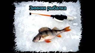 Рыбалка зимой в новосибирская область