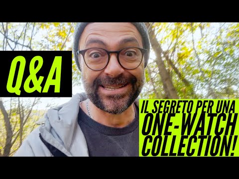 Q&A - il SEGRETO per una ONE-WATCH COLLECTION!