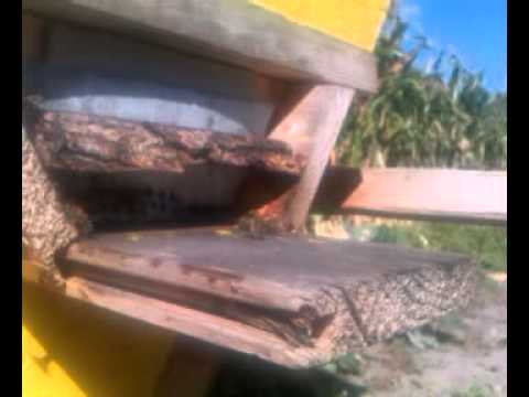 wylotek 6 września 2013