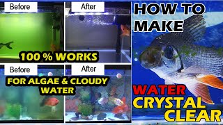 HOW TO MAKE AQUARIUM WATER CRYSTAL CLEAR | How to remove cloudy water | How to remove algae