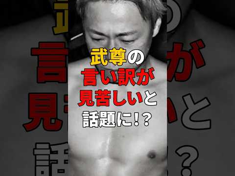 武尊の敗因は… #short #格闘技 #キックボクシング #武尊 #ロッタン