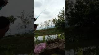 M om mom sắc móm ninh bình thất thủ