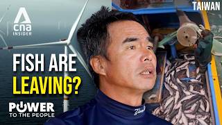 "They Won't Come Back": Are Taiwan's Offshore Wind Farms Driving Fish Away? | Power To The People