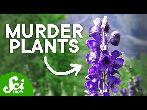 , title : 'The Top 10 Deadliest Plants (They Can Kill You!)'