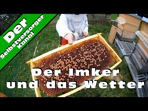 Der Imker und das Wetter