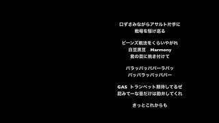 【新曲】パラッパッパパーラパッ【自作曲】