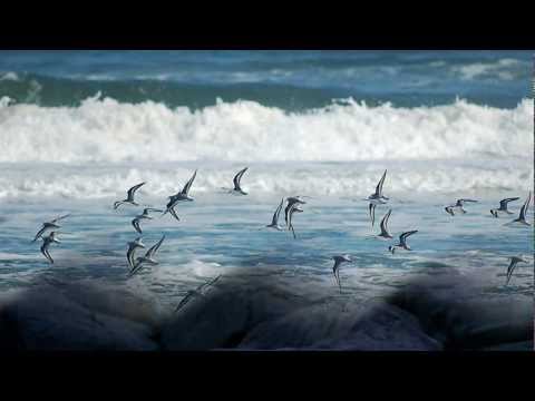 Al Bano Carrisi & Romina Power - Acqua di Mare ( HD Widescreen )