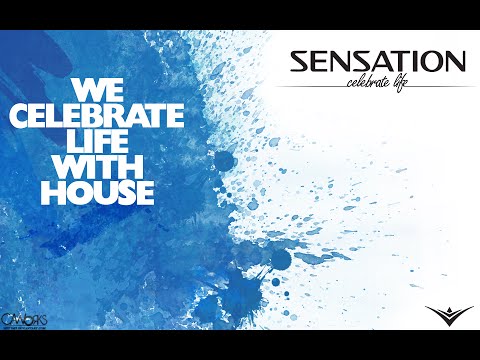 Roog and Phonic Funk   KTDNG  Daniel Sanchez   Snor