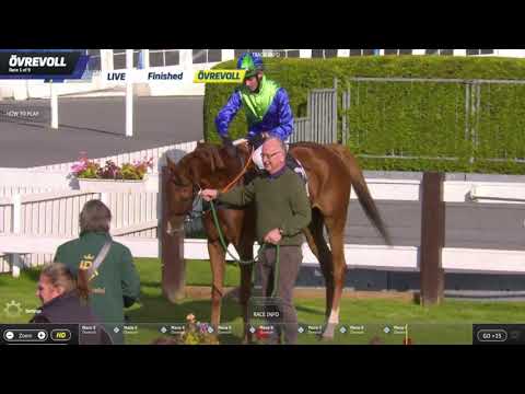 Lopp 9, 18 september 2019 - Øvrevoll