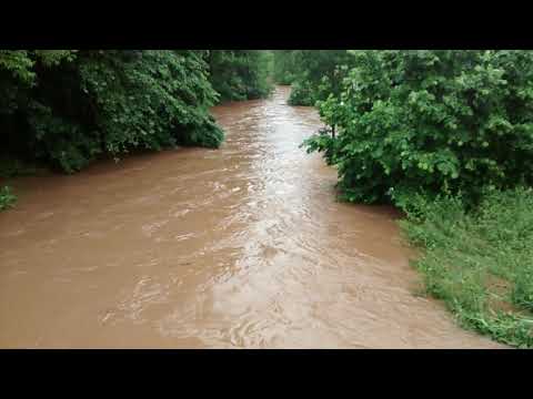 Erft zwischen Horrem und Sindorf am 01.06.2018